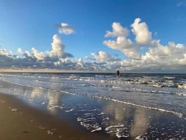 Seaview With Style Apartment Oostende Exterior foto